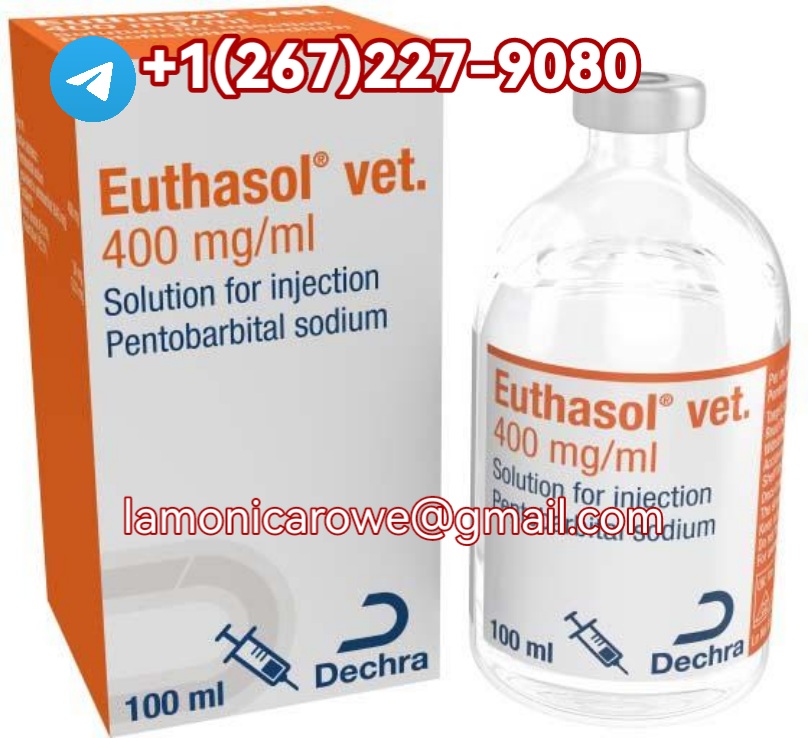 +12672279080>Buy Sodium Pentobarbital 400Mg/Ml In UAE